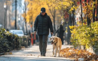 L’impact des chiens guides d’aveugles sur la mobilite et l’autonomie des personnes deficientes visuelles